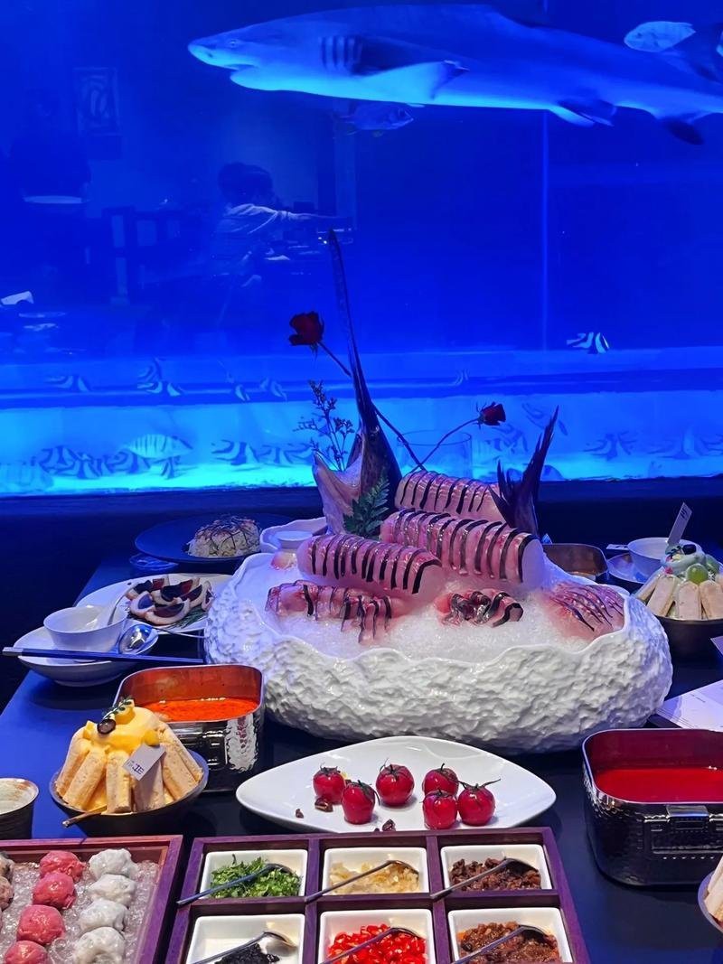 長春水族店【長春水族店哪個口碑最好】 長春水族店【長春水族店哪個口碑最好】 全國水族館企業名錄 第3張