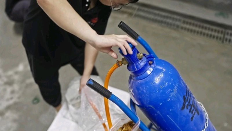 帝龍漁業怎么樣【《帝龍漁業：實力與特色兼具的漁業》**】