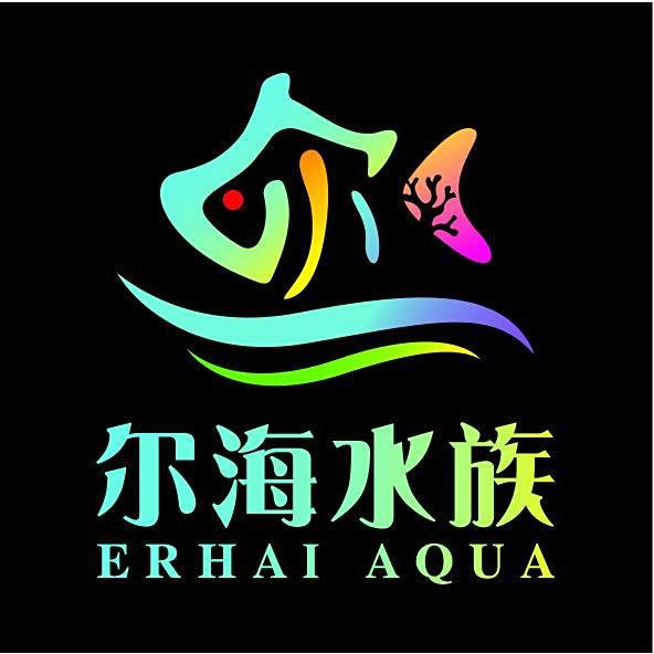 芙蓉水族店【芙蓉水族店：魚兒的奇妙世界】