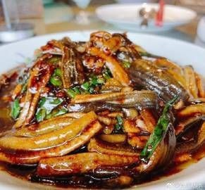 玫瑰鯽魚的壽命有多長【玫瑰鯽魚壽命排行榜wj三班長玫瑰鯽魚壽命排行榜】
