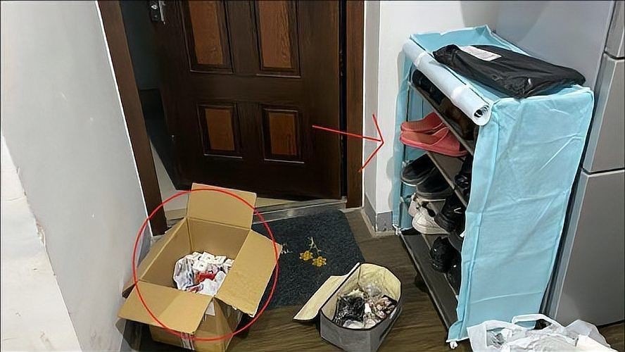 開門正對一盆綠植好嗎【“開門見6物,財神家里住”，看看這3物你家有沒有安排上家居大隊長】