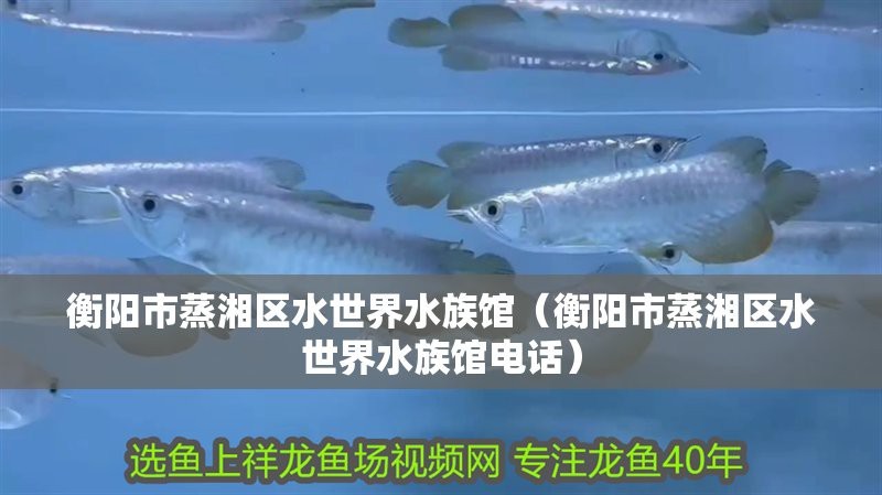 <strong><mark>蒸湘</mark></strong>龍魚店【<strong><mark>蒸湘</mark></strong>龍魚店——獨(dú)特水族風(fēng)情的探索】