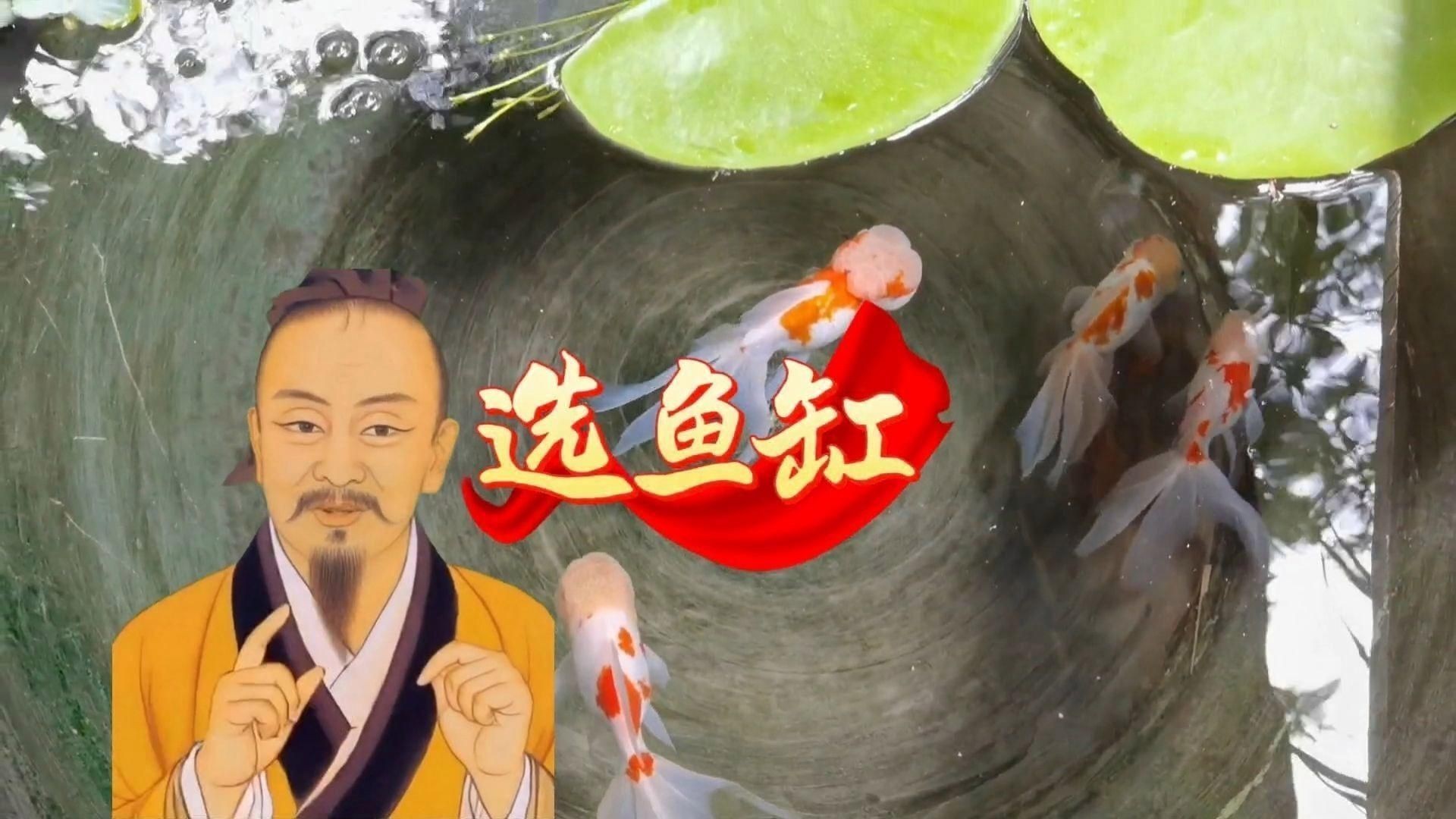 買魚缸有什么需要注意的【養(yǎng)魚不踩坑:從選缸到擺缸全攻略】
