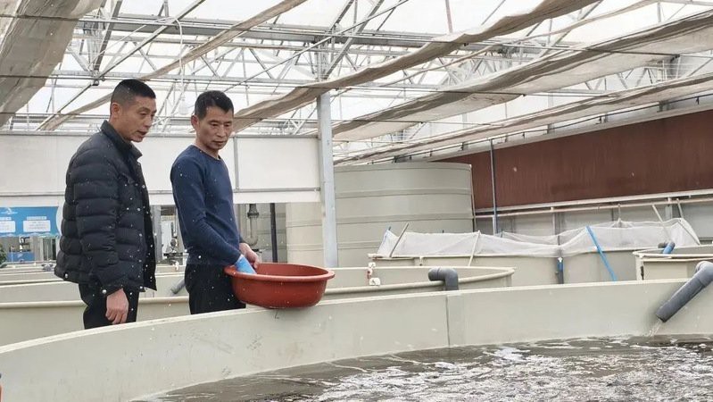 新疆龍魚店【新疆龍魚店有哪些品種】