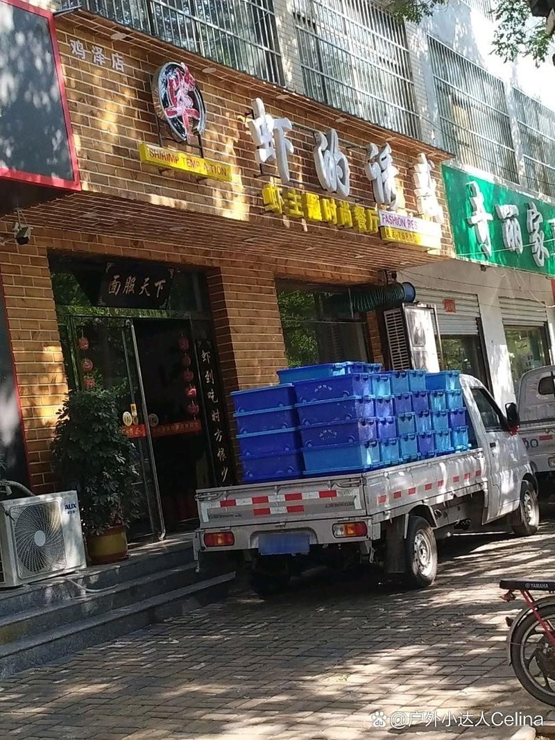 雞澤龍魚店【《雞澤龍魚店：特色水族天地》】
