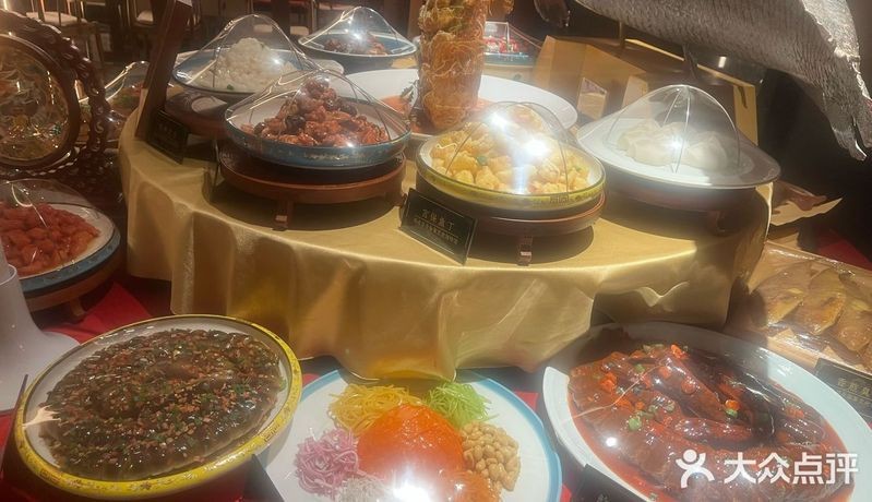 雞澤龍魚店【《雞澤龍魚店：特色水族天地》】