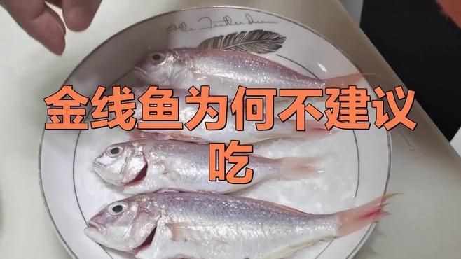 金線魚為何要盡量少吃【關于金線魚的食用限制】 金線魚為何要盡量少吃【關于金線魚的食用限制】 龍魚百科 第1張
