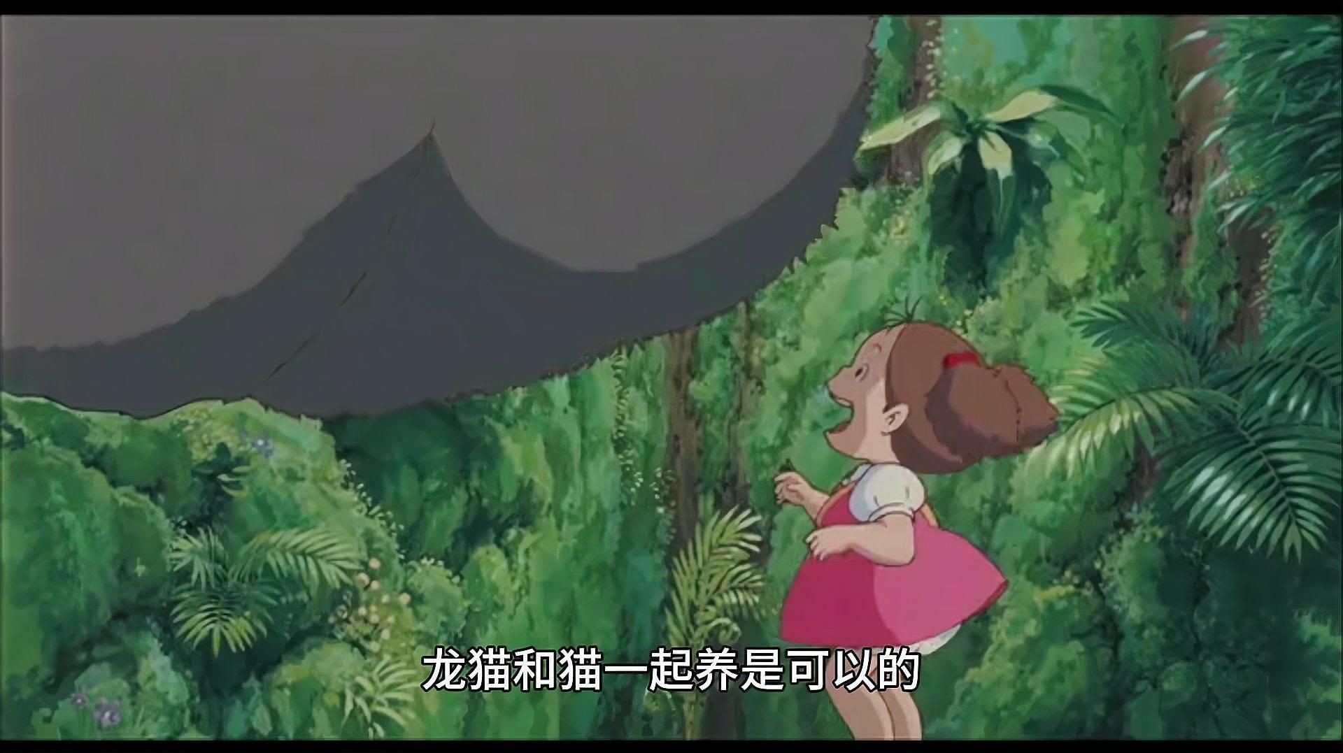 龍貓和貓可以在一起玩嗎【龍貓和貓可以一起養嗎】 龍貓和貓可以在一起玩嗎【龍貓和貓可以一起養嗎】 龍魚百科 第4張