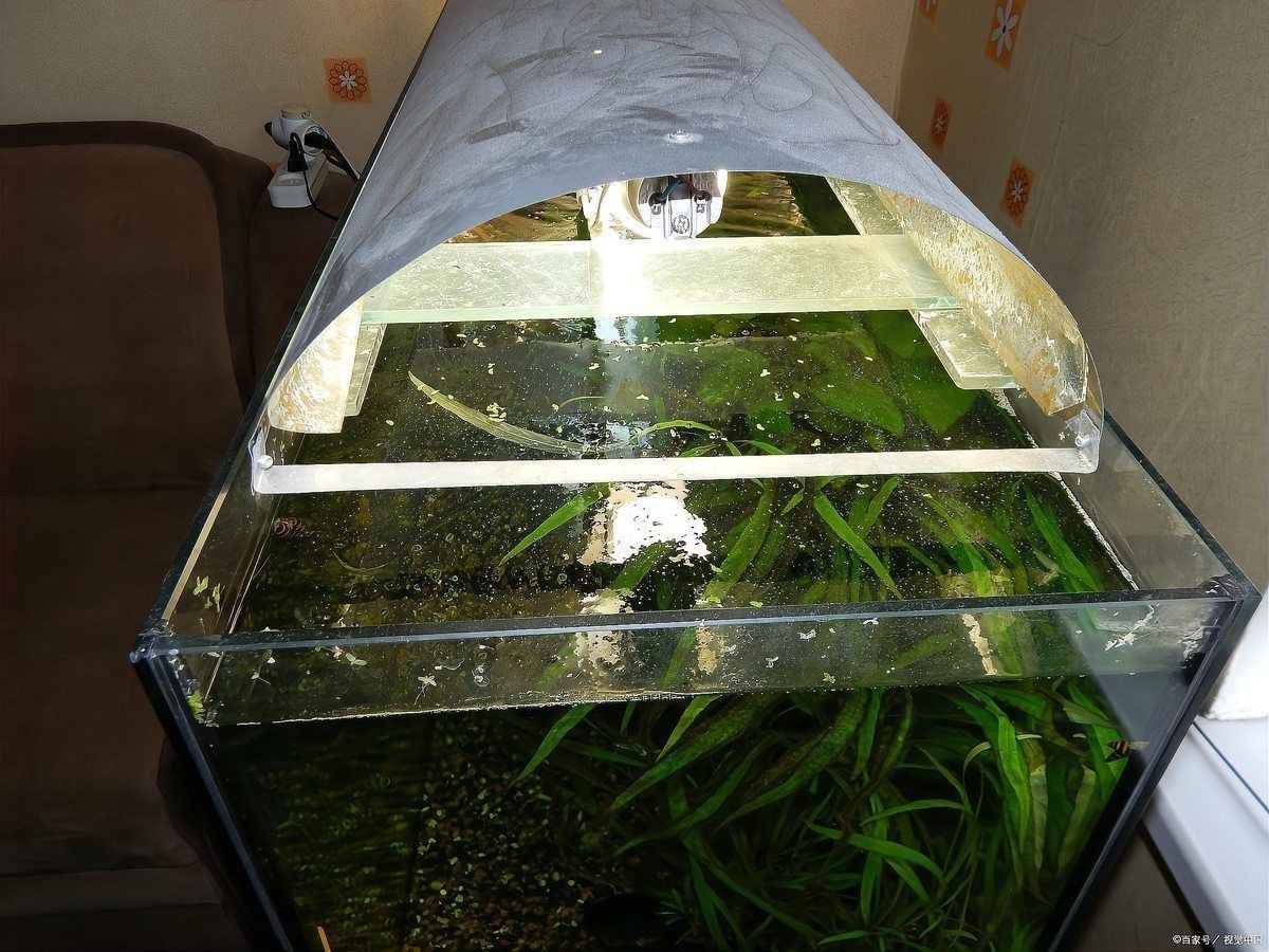 細菌屋多久清洗一次合適？【細菌屋多久清洗一次】