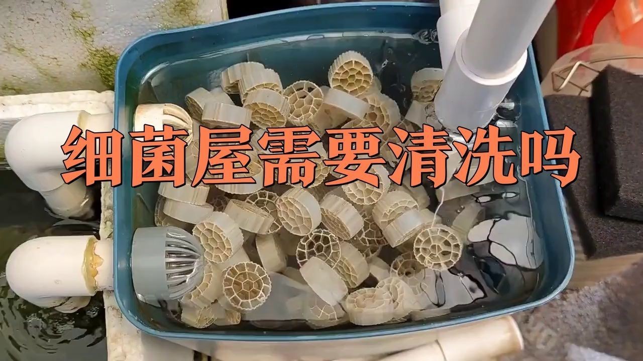 細菌屋多久清洗一次合適？【細菌屋多久清洗一次】