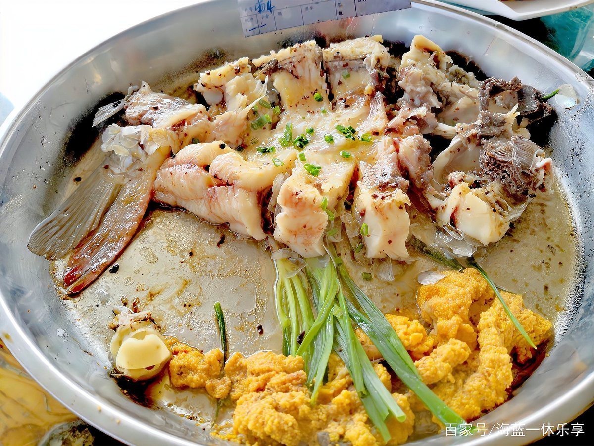 肇慶龍魚店【康龍水族龍魚有哪些特色品種】 肇慶龍魚店【康龍水族龍魚有哪些特色品種】 全國水族館企業名錄 第5張