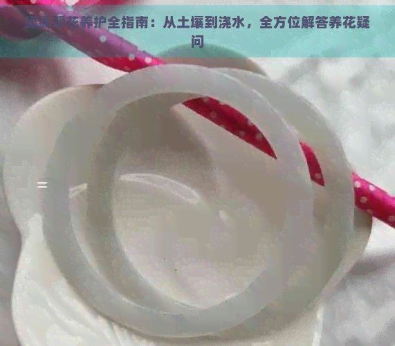 綠翡翠的養殖方法和注意事項【綠翡翠養殖方法和注意事項】 綠翡翠的養殖方法和注意事項【綠翡翠養殖方法和注意事項】 龍魚百科 第7張