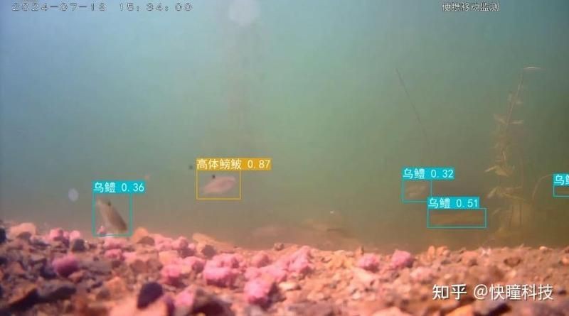 海洋生物識別掃一掃【海洋生物識別掃一掃技術】