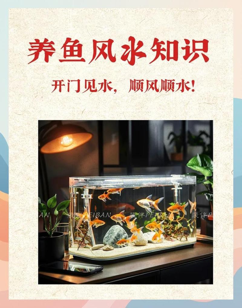 風水魚顏色【風水魚的顏色的選擇】 風水魚顏色【風水魚的顏色的選擇】 龍魚論壇 第2張