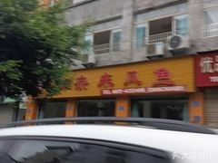 西充龍魚店【西充縣龍魚價格是多少】