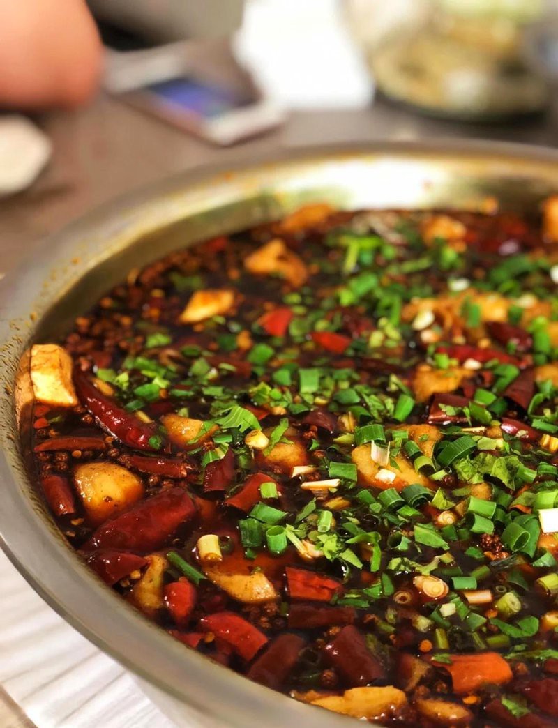 西充龍魚店【西充縣龍魚價格是多少】