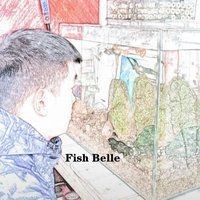 金塵雷龍魚怎么養【金塵雷龍魚的飼養方法】
