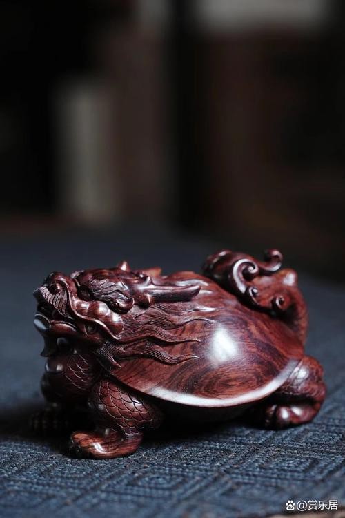 能推薦一些專業(yè)的龍龜圖片圖庫嗎？【龍龜專業(yè)圖片圖庫推薦】