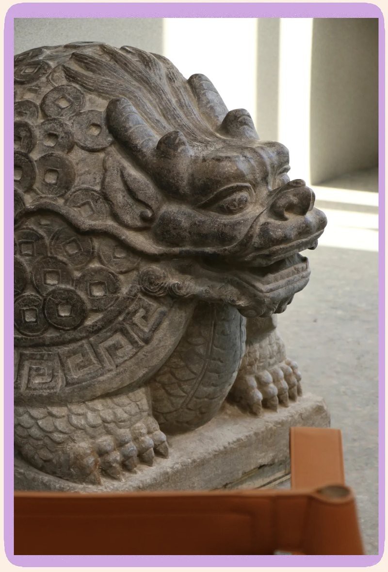 能推薦一些專業(yè)的龍龜圖片圖庫嗎？【龍龜專業(yè)圖片圖庫推薦】