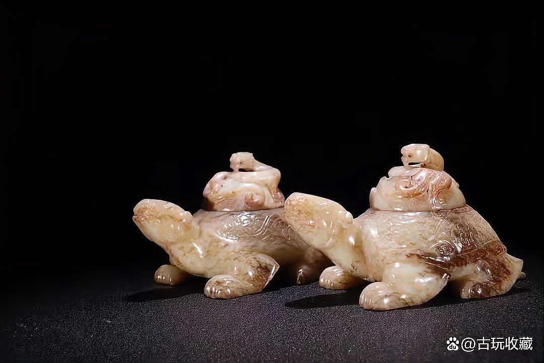 能推薦一些專業(yè)的龍龜圖片圖庫嗎？【龍龜專業(yè)圖片圖庫推薦】