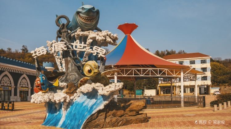 連云水族店【連云區哪家水族館口碑最好】