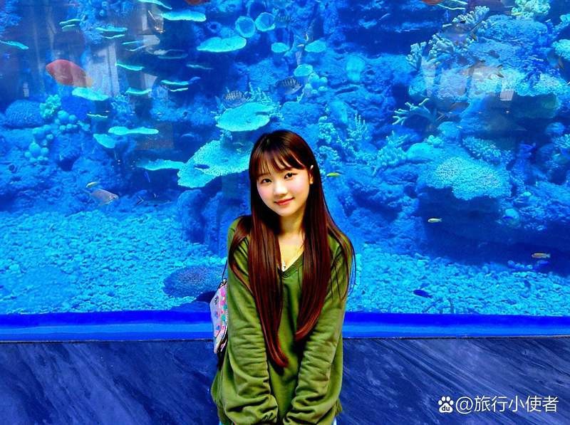 紫金水族店【探尋水下世界的奇妙小店】 紫金水族店【探尋水下世界的奇妙小店】 全國水族館企業名錄 第6張