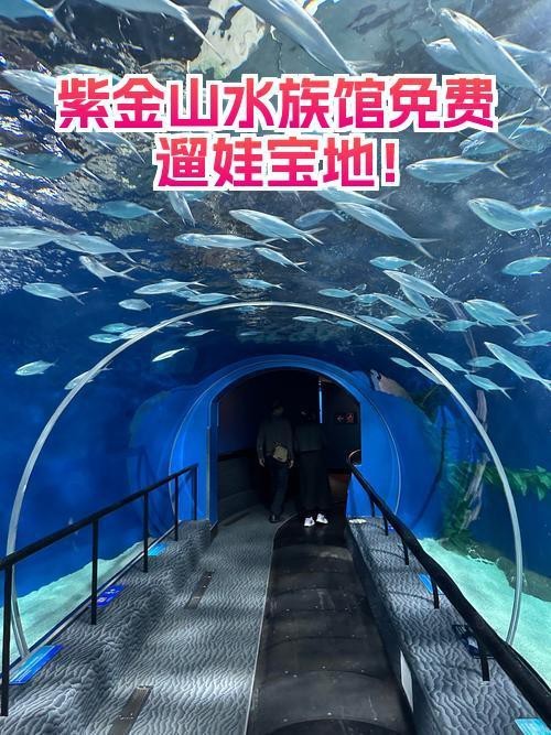 紫金水族店【探尋水下世界的奇妙小店】 紫金水族店【探尋水下世界的奇妙小店】 全國水族館企業名錄 第5張