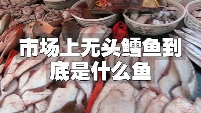 冷凍的無(wú)頭魚(yú)是什么魚(yú)【市場(chǎng)上常見(jiàn)的“無(wú)頭魚(yú)”到底是什么魚(yú)】