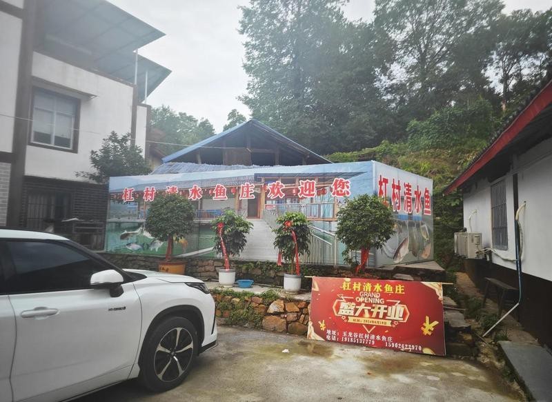 道真水族店【水下世界的奇妙角落】