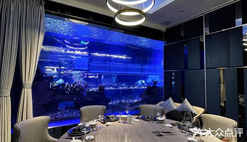 長寧水族店【《長寧水族店：水族愛好者的夢幻之地》】