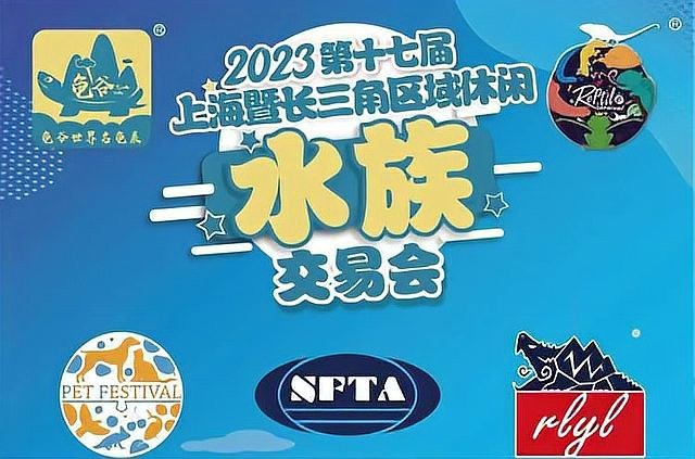 長寧水族店【《長寧水族店：水族愛好者的夢幻之地》】