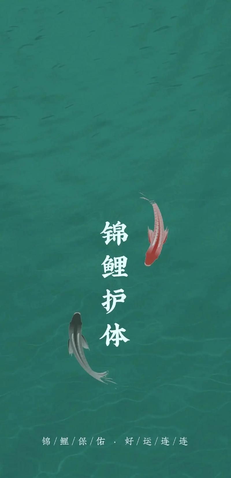 有哪些魚類不適合與招財貓魚混養，招財貓魚與其他魚類混養
