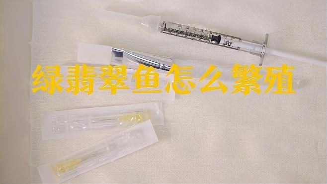 綠翡翠魚是產(chǎn)卵還是生小魚呢【綠翡翠魚怎么繁殖】