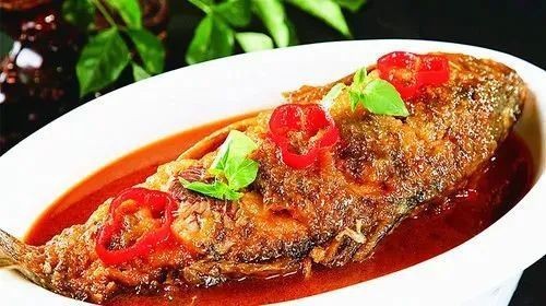 白銀區(qū)龍魚店【江小漁鮮魚火鍋的具體地址在哪里】 白銀區(qū)龍魚店【江小漁鮮魚火鍋的具體地址在哪里】 全國水族館企業(yè)名錄 第2張