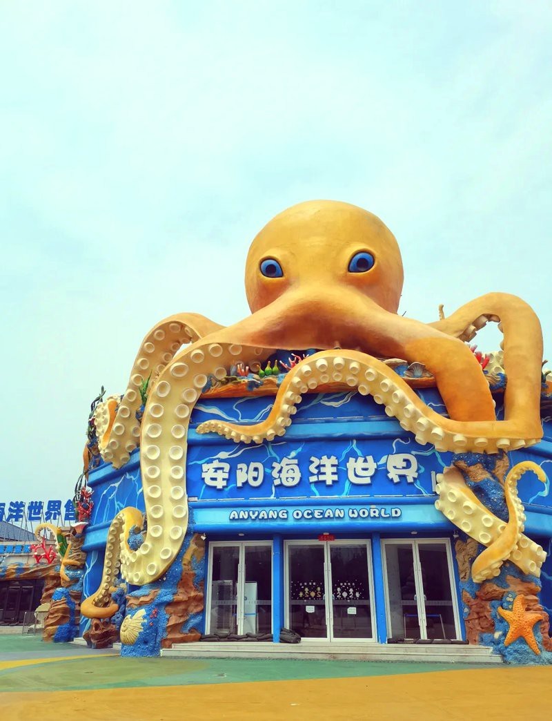 湯陰水族店【水族愛好者的奇妙天地】 湯陰水族店【水族愛好者的奇妙天地】 全國水族館企業(yè)名錄 第3張