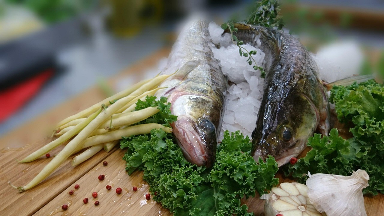 什么樣的龍魚最好【紅龍魚為何備受青睞，】
