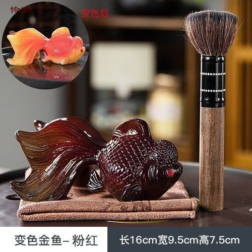 錦鯉的變色過程圖片【《錦鯉變色過程：奇妙色彩的漸變之旅》】