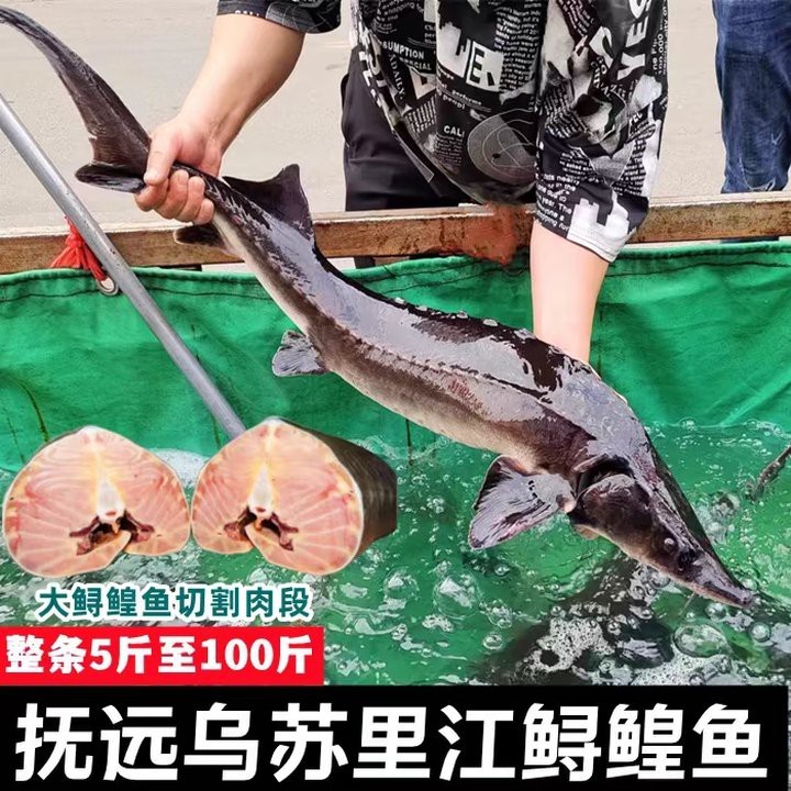 雞東龍魚(yú)店【京東如何聯(lián)系雞東龍魚(yú)店】