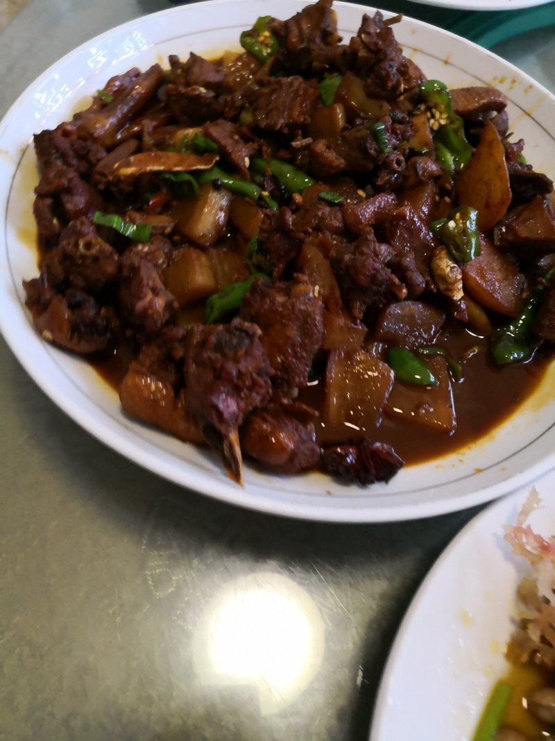 薛城龍魚店【棗莊薛城龍魚店：水族世界的奇妙角落，在薛城，有一家別具特色的龍魚店】