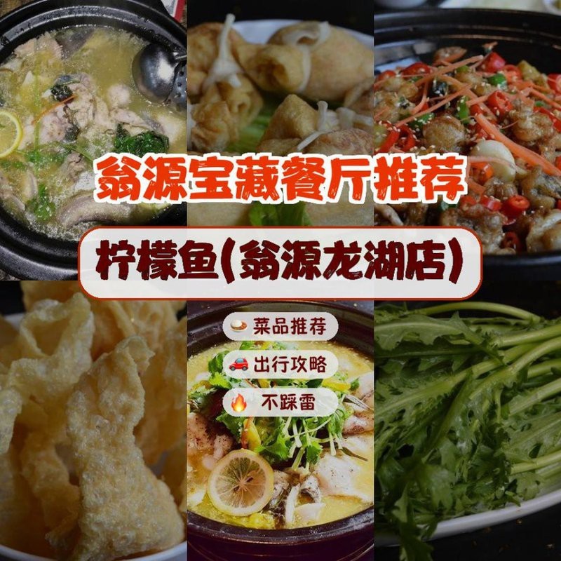 翁源龍魚店【翁源龍魚店哪家口碑最好】