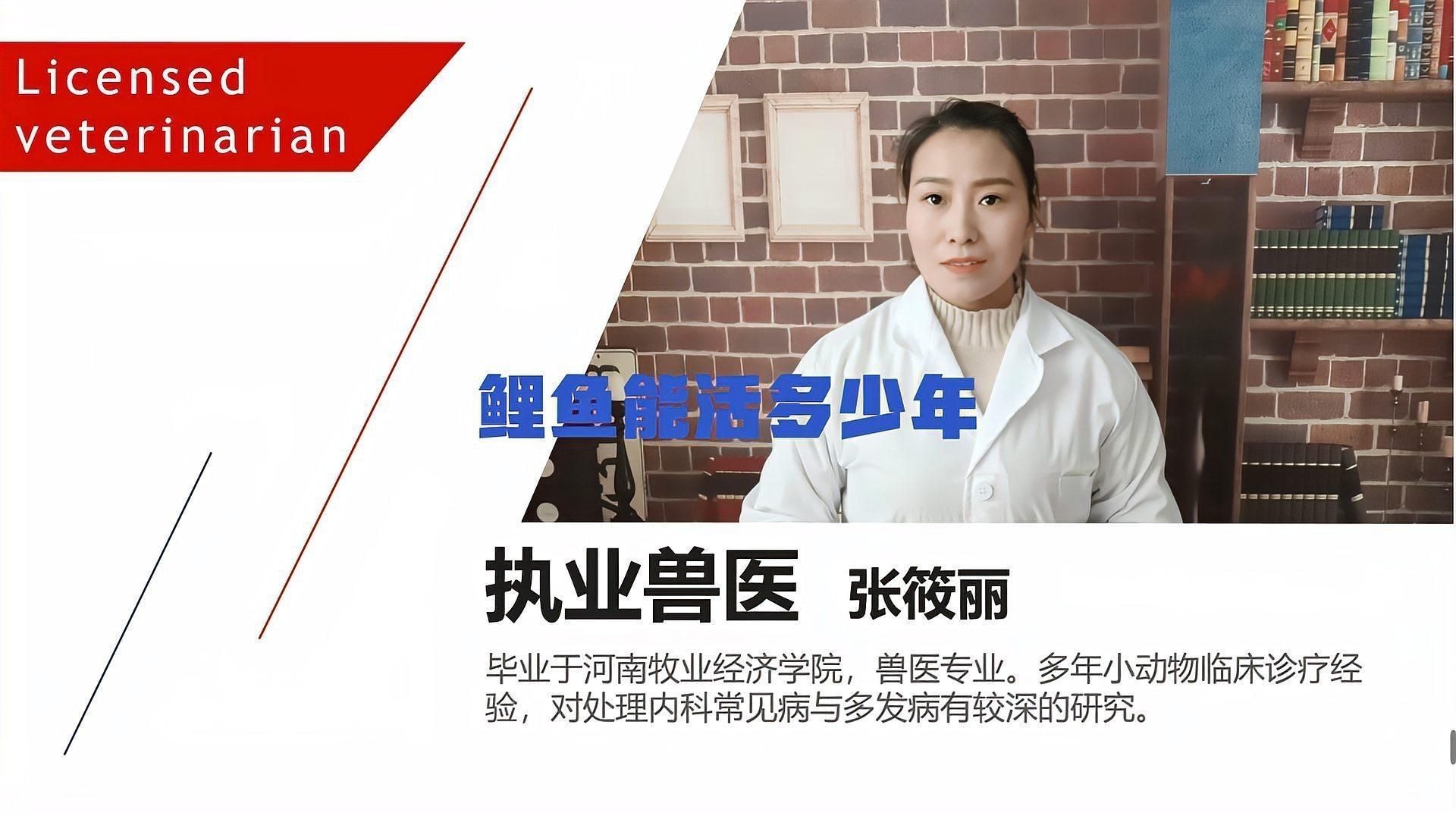 鯉魚壽命一般多少年【鯉魚壽命的不確定性**影響鯉魚壽命的因素】