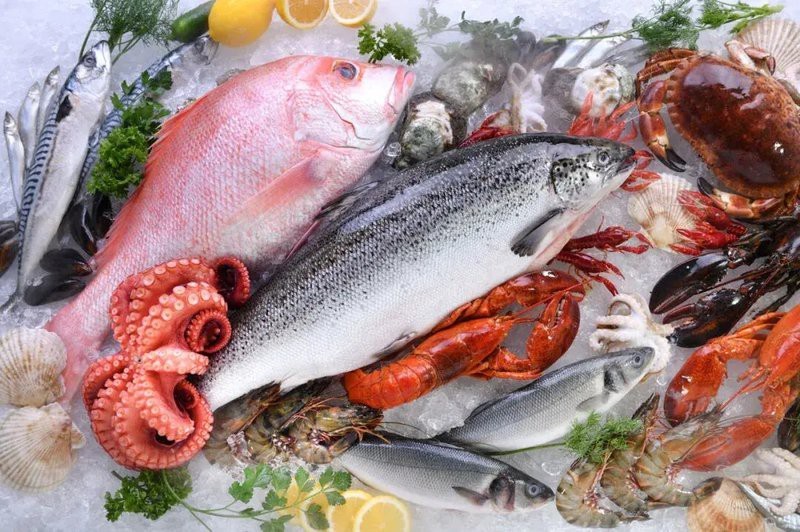 有哪些魚類比龍頭魚更安全？【哪些魚類比龍頭魚更安全？】