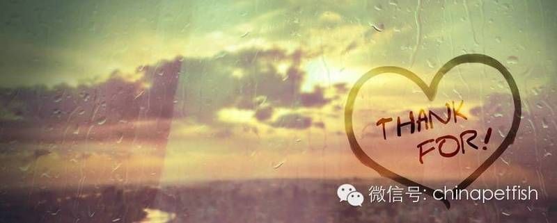 馬來西亞金星漁場(chǎng)【《馬來西亞金星漁場(chǎng)：海洋漁業(yè)的璀璨之星》】