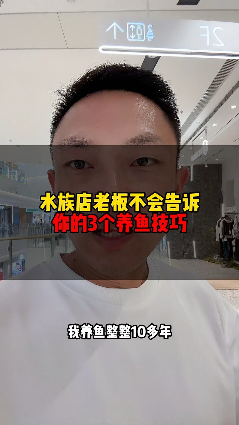 澄邁水族店【澄邁縣水族店哪家口碑最好】 澄邁水族店【澄邁縣水族店哪家口碑最好】 全國水族館企業名錄 第2張