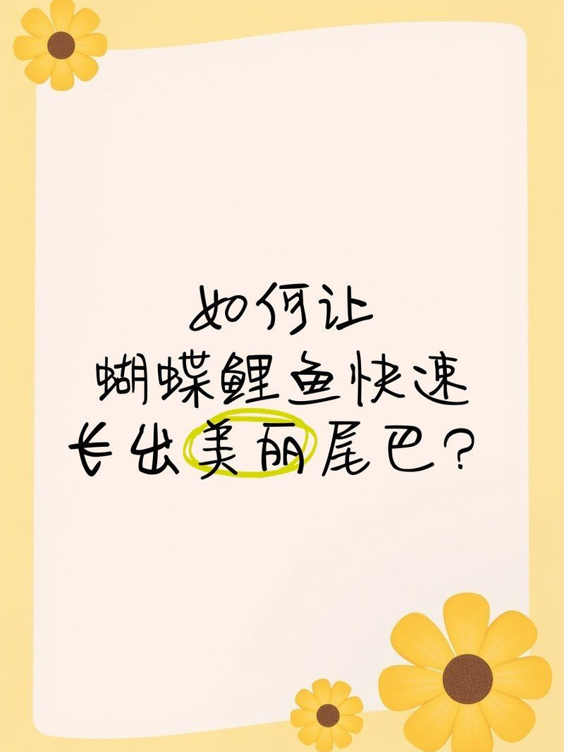 蝴蝶鯉多大開始長尾巴【蝴蝶鯉發尾后如何保持尾巴完整性和美觀度36,蝴蝶鯉多大開始長尾巴】