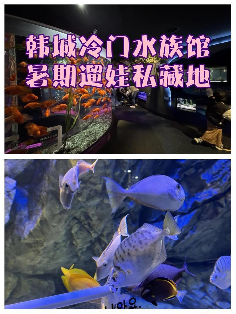高陽水族店【高陽市一山aquaplanet水族館之行攜程旅行網(wǎng)】