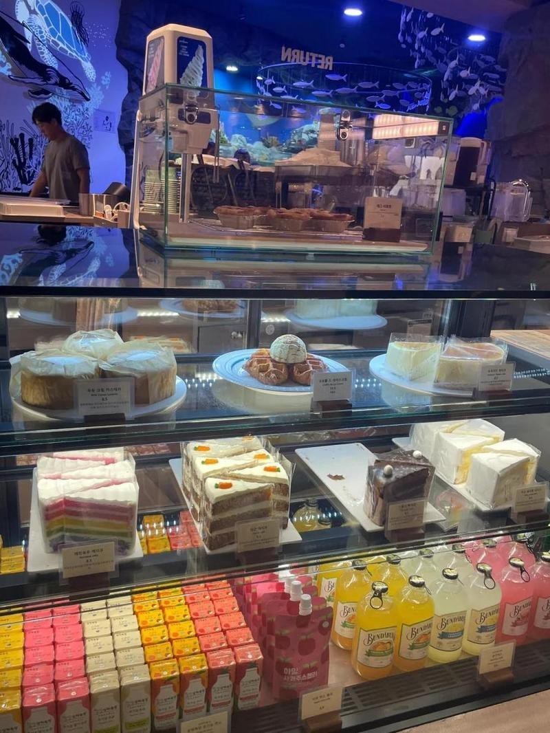 高陽水族店【高陽市一山aquaplanet水族館之行攜程旅行網(wǎng)】