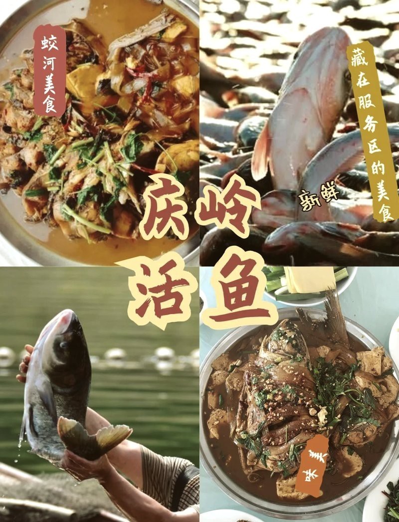 蛟河龍魚店【蛟河龍魚店哪家口碑最好】