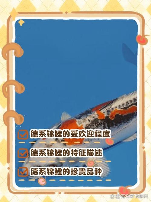 德系錦鯉魚圖片大全【尾巴搖擺俱樂部,德系錦鯉的優缺點搞寵物的喵喵】