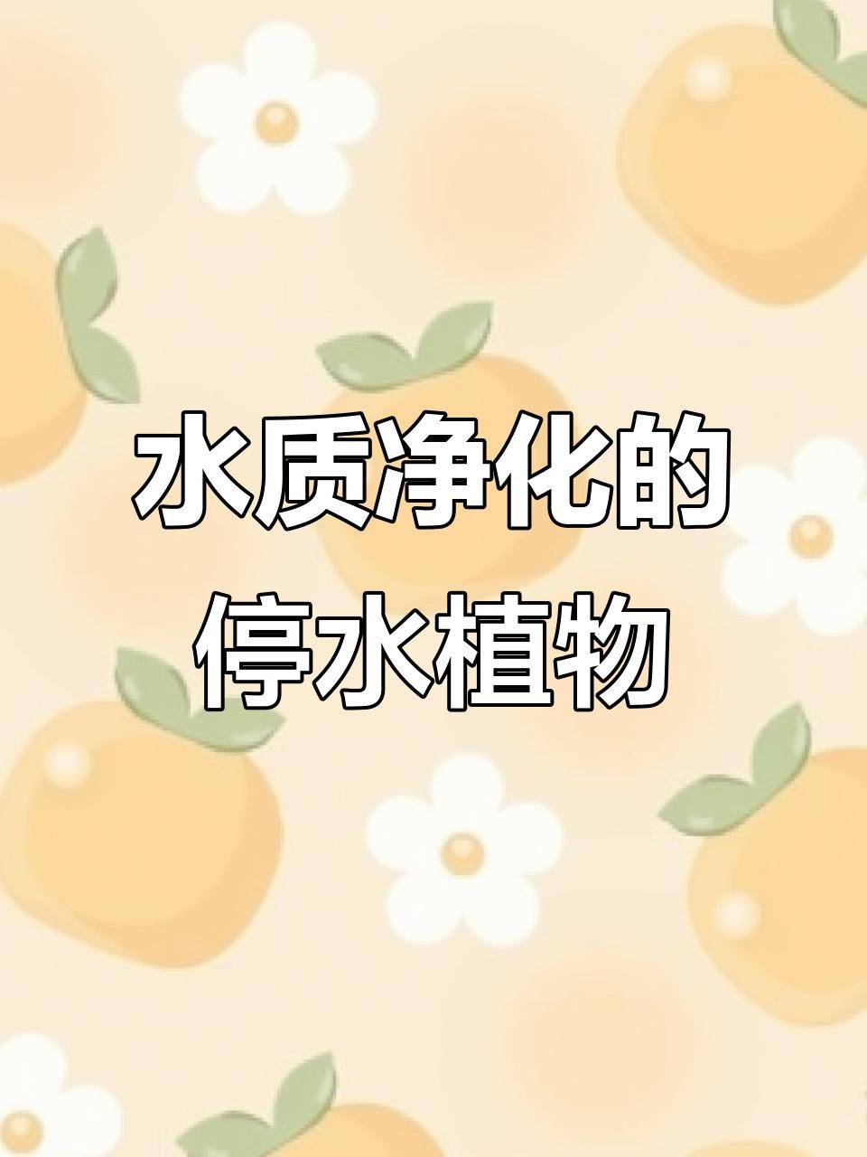 金龍魚缸里適合養什么植物？【龍魚缸適合養什么樣的植物？】